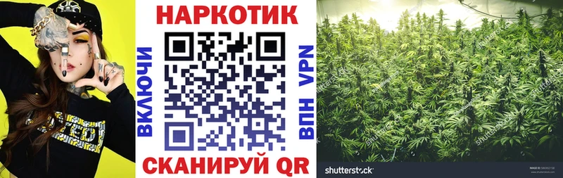 Где купить наркоту Александровск-Сахалинский Каннабис  Меф  ГАШ 
