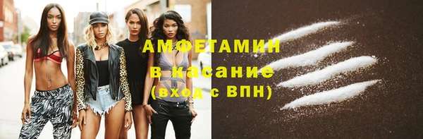 стафф Новозыбков